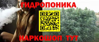 прущая мука Ачхой-Мартан