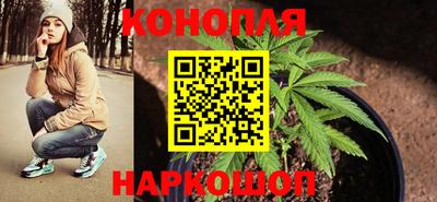 прущая мука Ачхой-Мартан